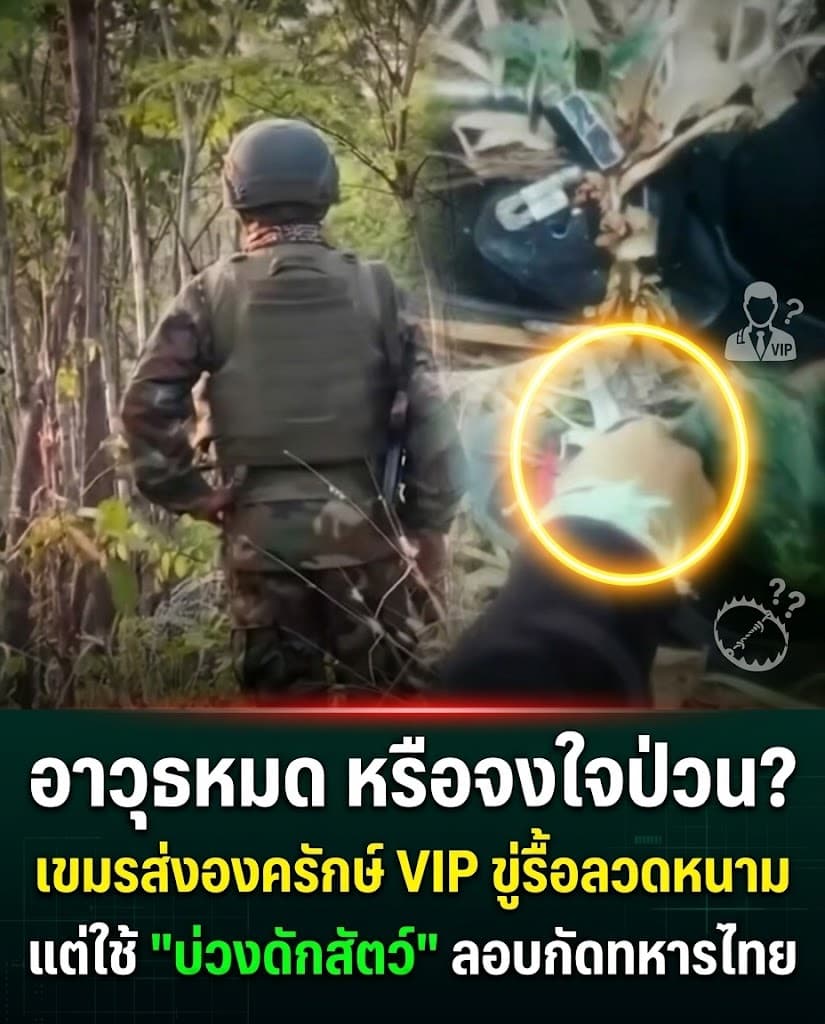 เดือด! ทหารเขมรถังแตกวางบ่วงดักสัตว์ เจอไทยตอกหน้าหงาย