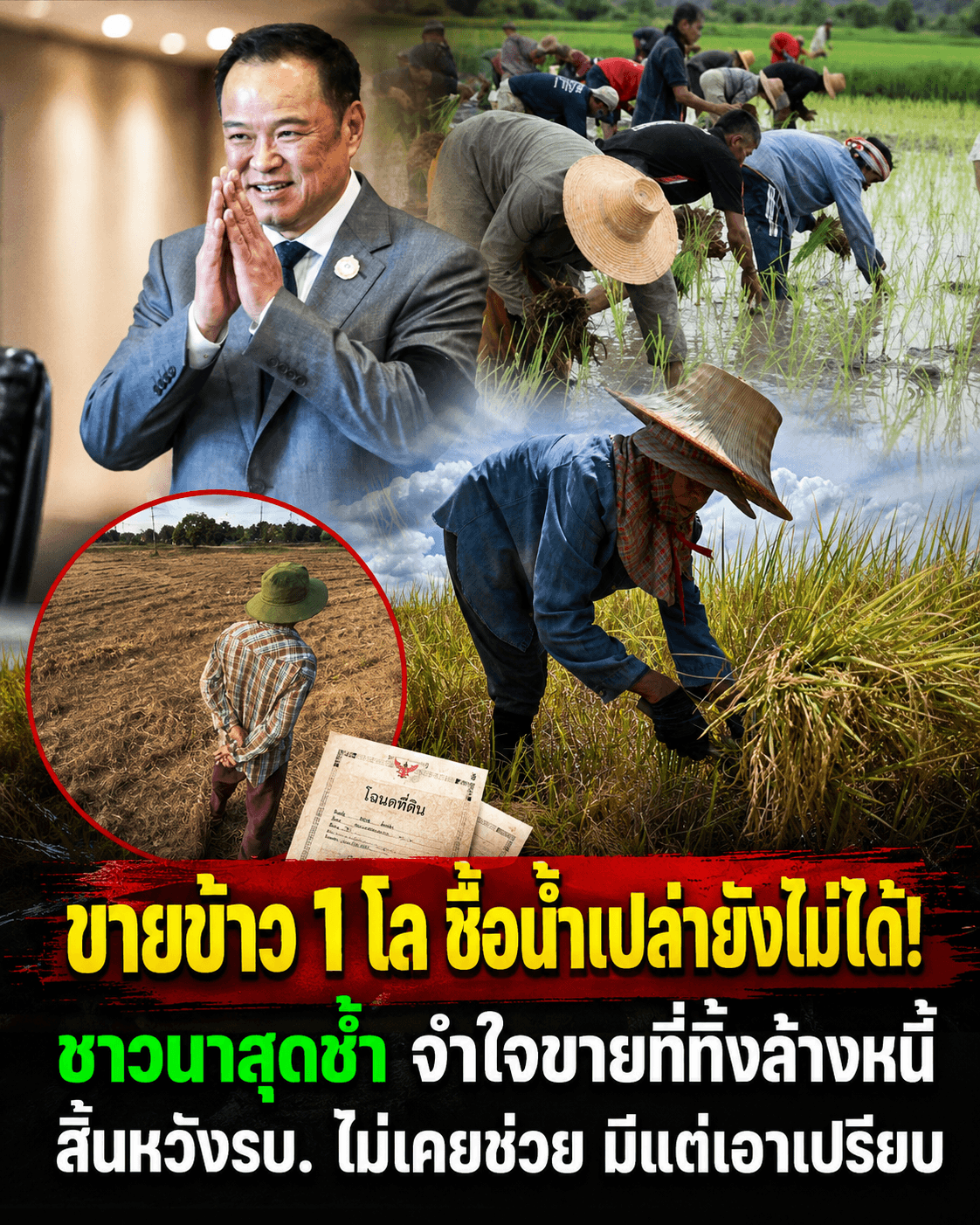 ช็อก! ข้าวถูกกว่าน้ำ ชาวนาพิจิตรขายที่นาทิ้ง