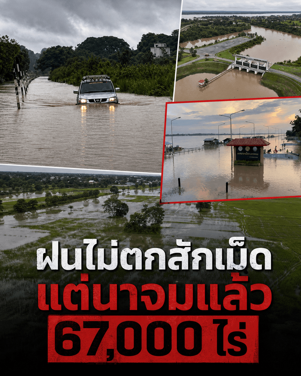 ช็อก! น้ำโขงตีกลับ นครพนมจมมิด 6 หมื่นไร่ ไร้ทางรอด