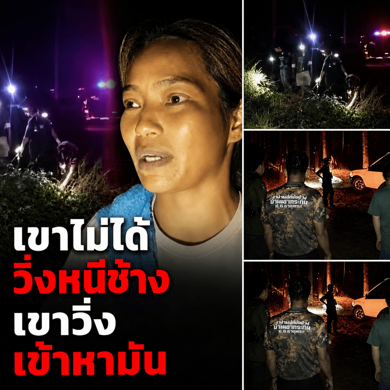 ผัวสละชีพ ล่อช้างป่าเหยียบร่างแหลก เซฟเมียรอดตาย