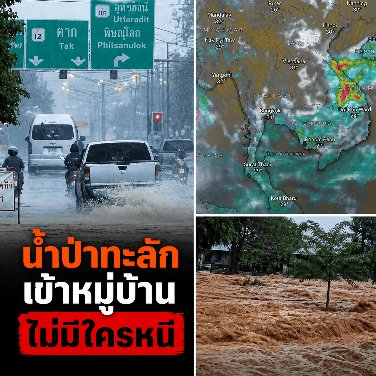 โศกนาฏกรรมซ้ำซ้อน! ข้าวตายคาแล้ง น้ำป่าซัดโคราช พายุจ่อไทย