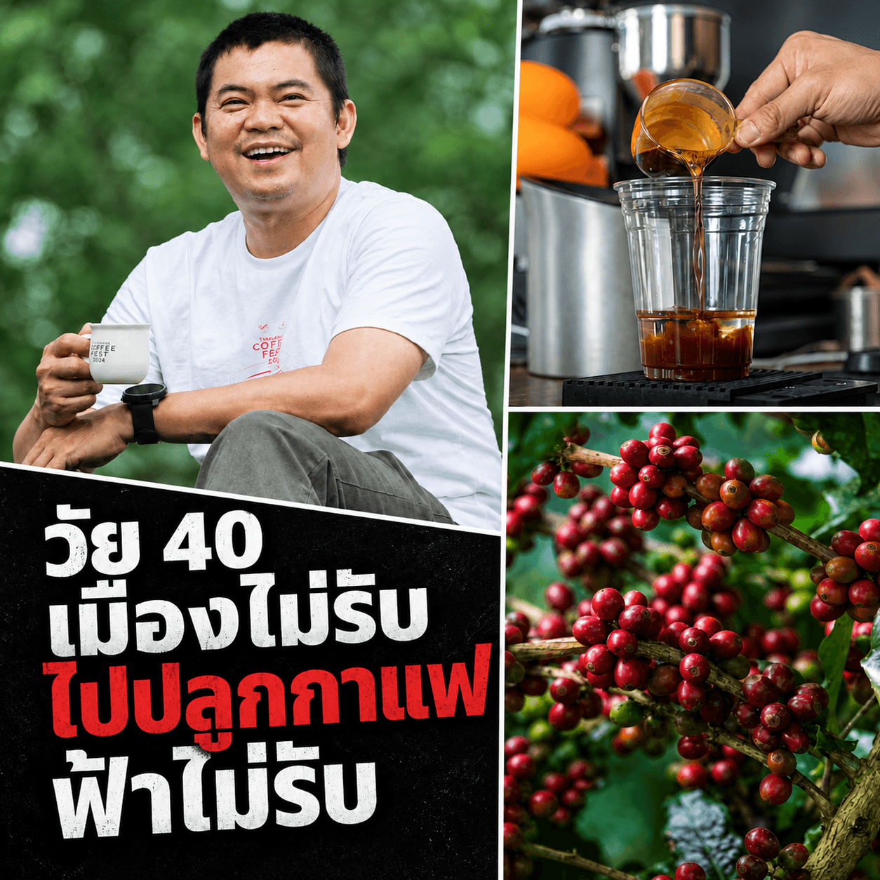 น้ำตา Gen Y วัย 40 หนีตายปลูกกาแฟ เจอฝนหลงฤดู-ทุนจีนทุบ